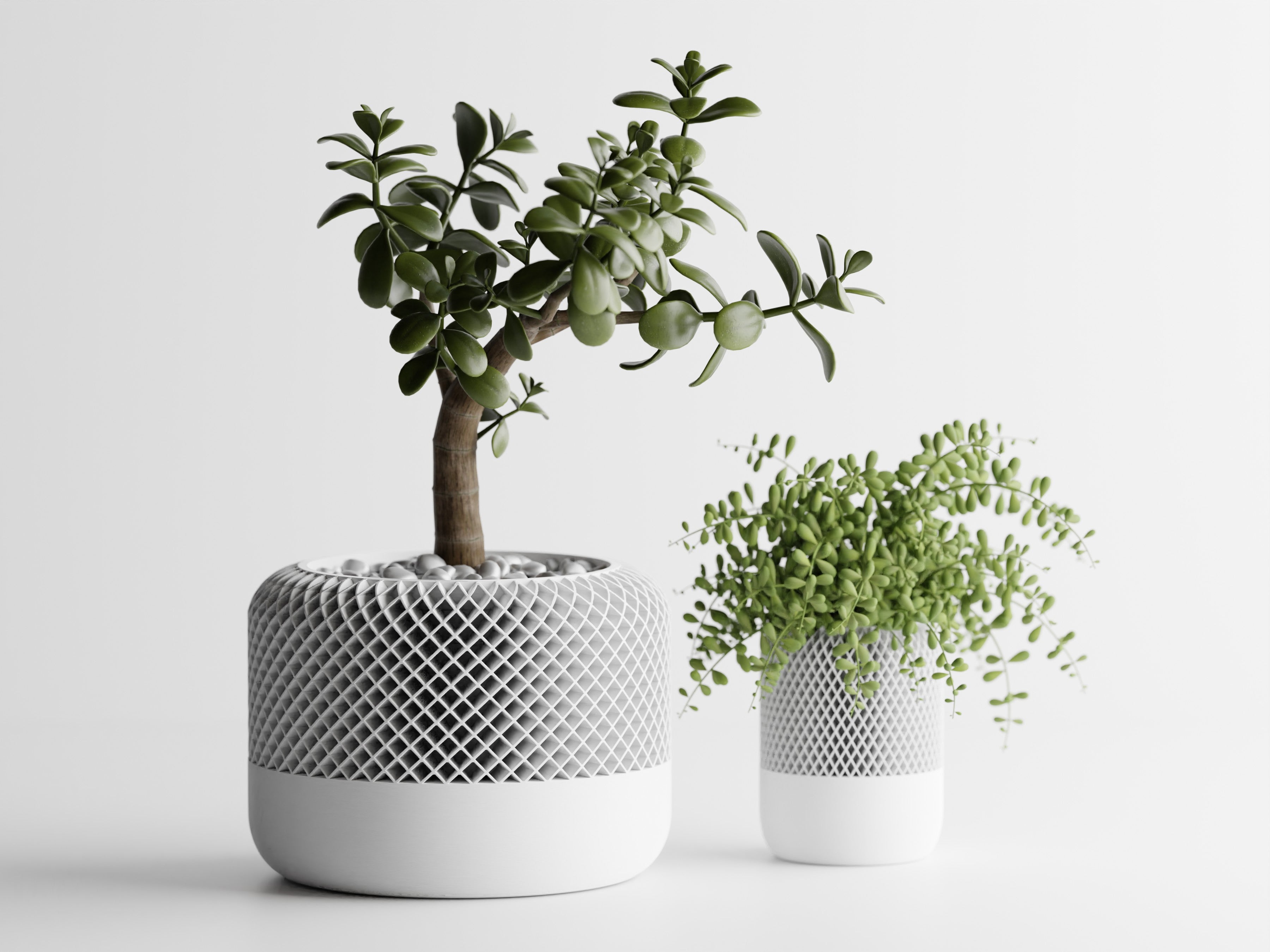 AuraPod – Minimalist Pod-Style Plant Pot