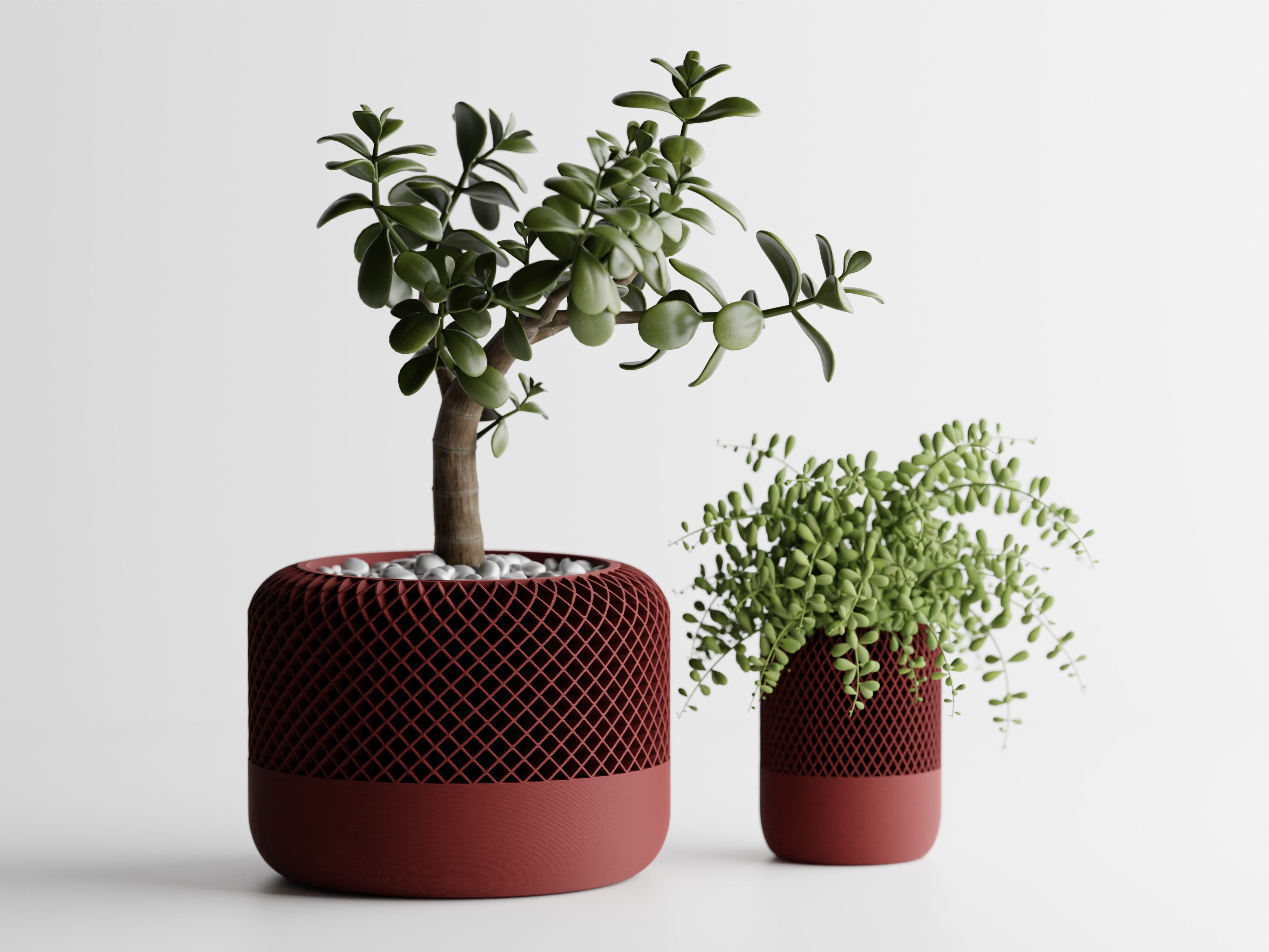 AuraPod – Minimalist Pod-Style Plant Pot
