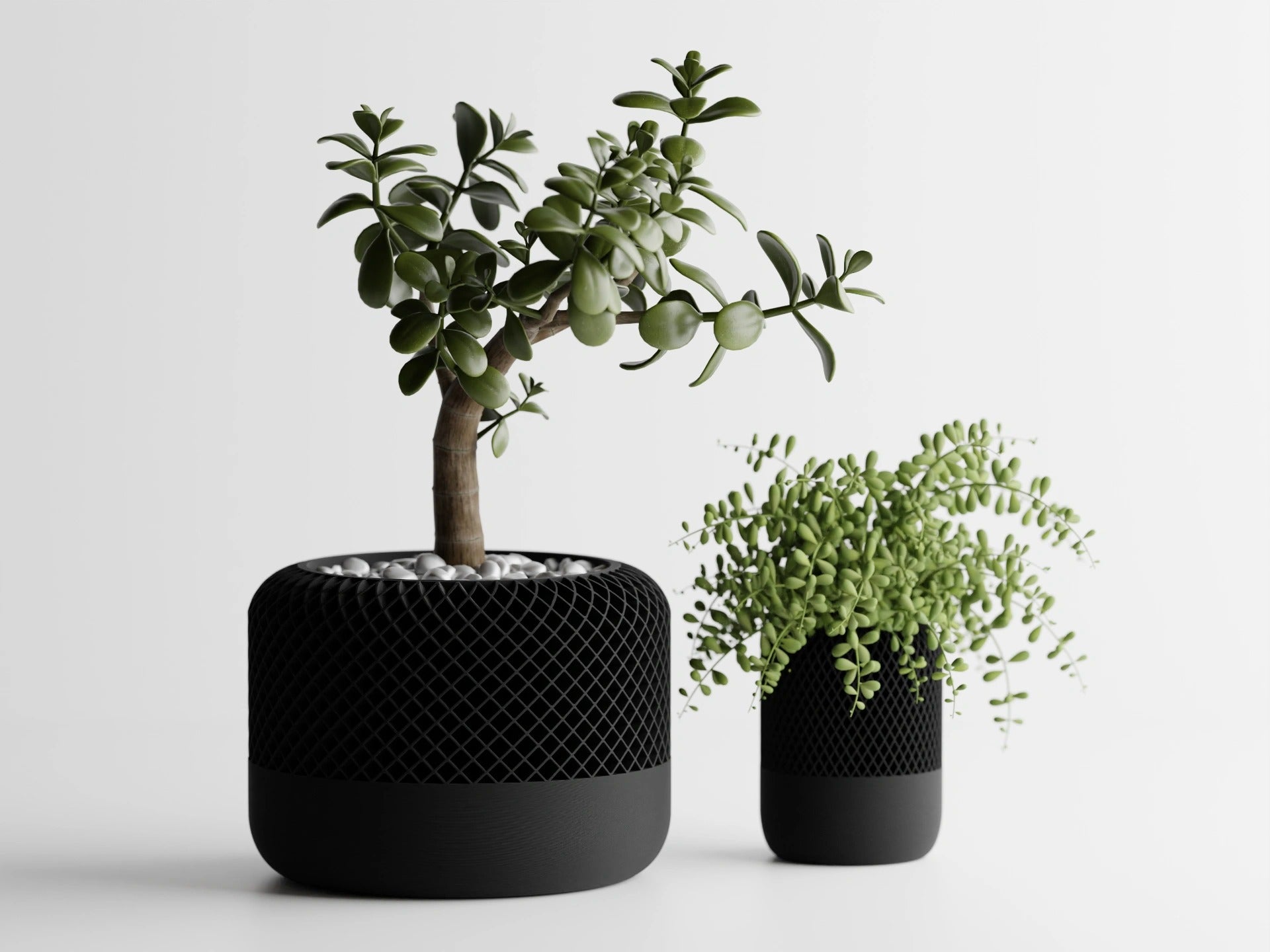 AuraPod – Minimalist Pod-Style Plant Pot