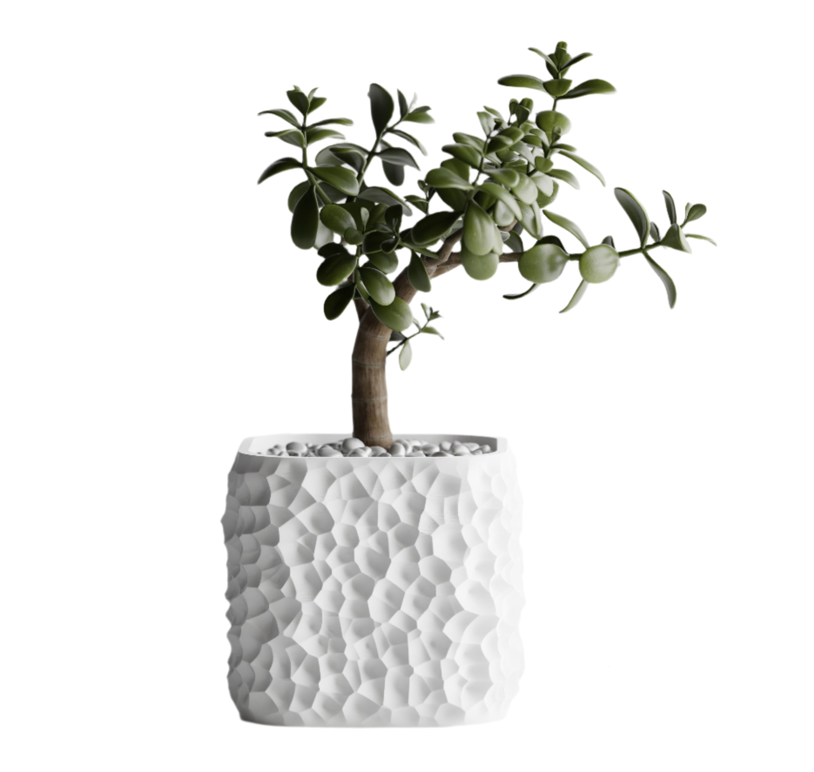 TerraForm Vase – Organic Voronoi Planter