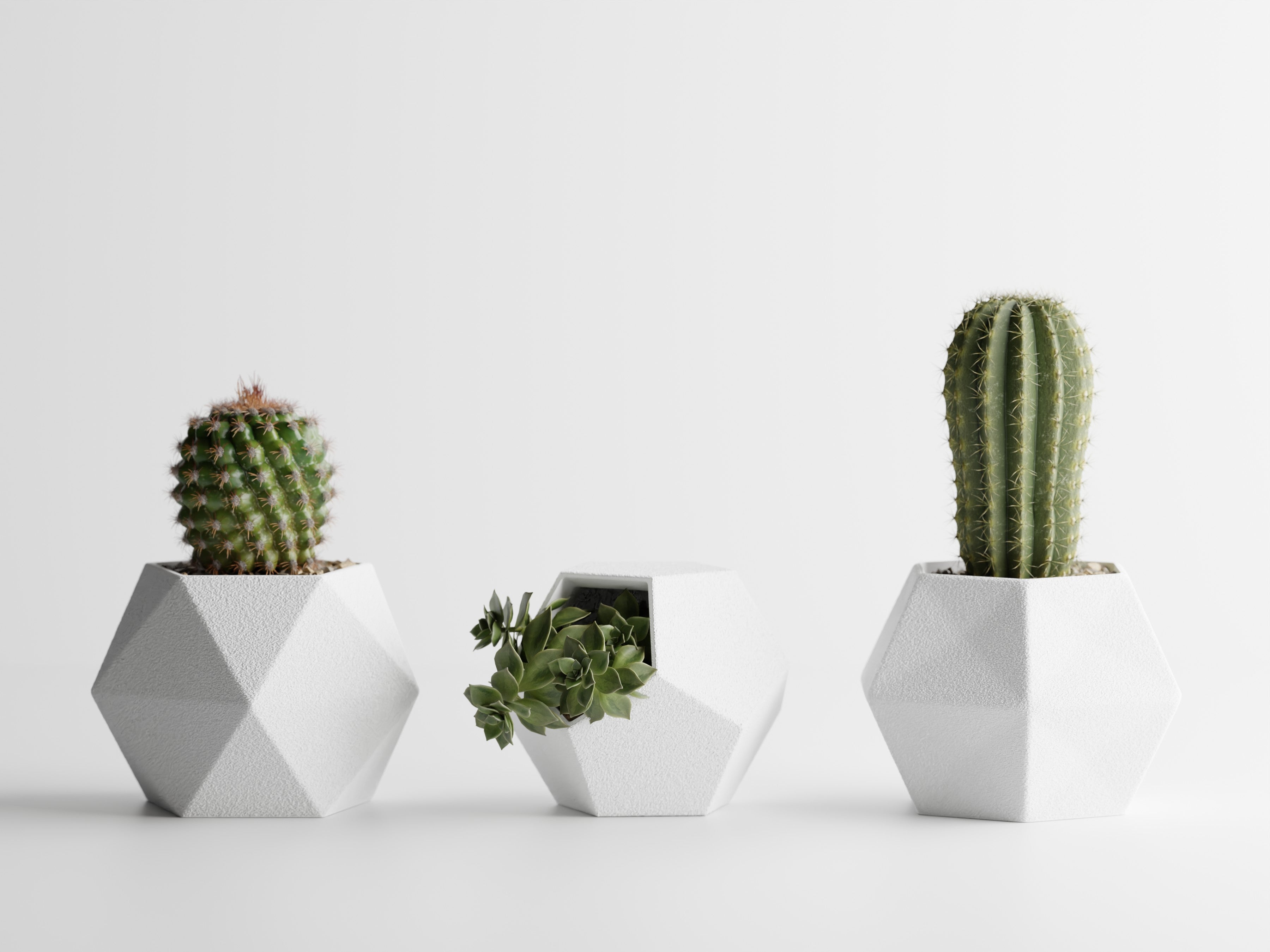GeoTrio – Set of 3 Geometric Decorative Plant Pots