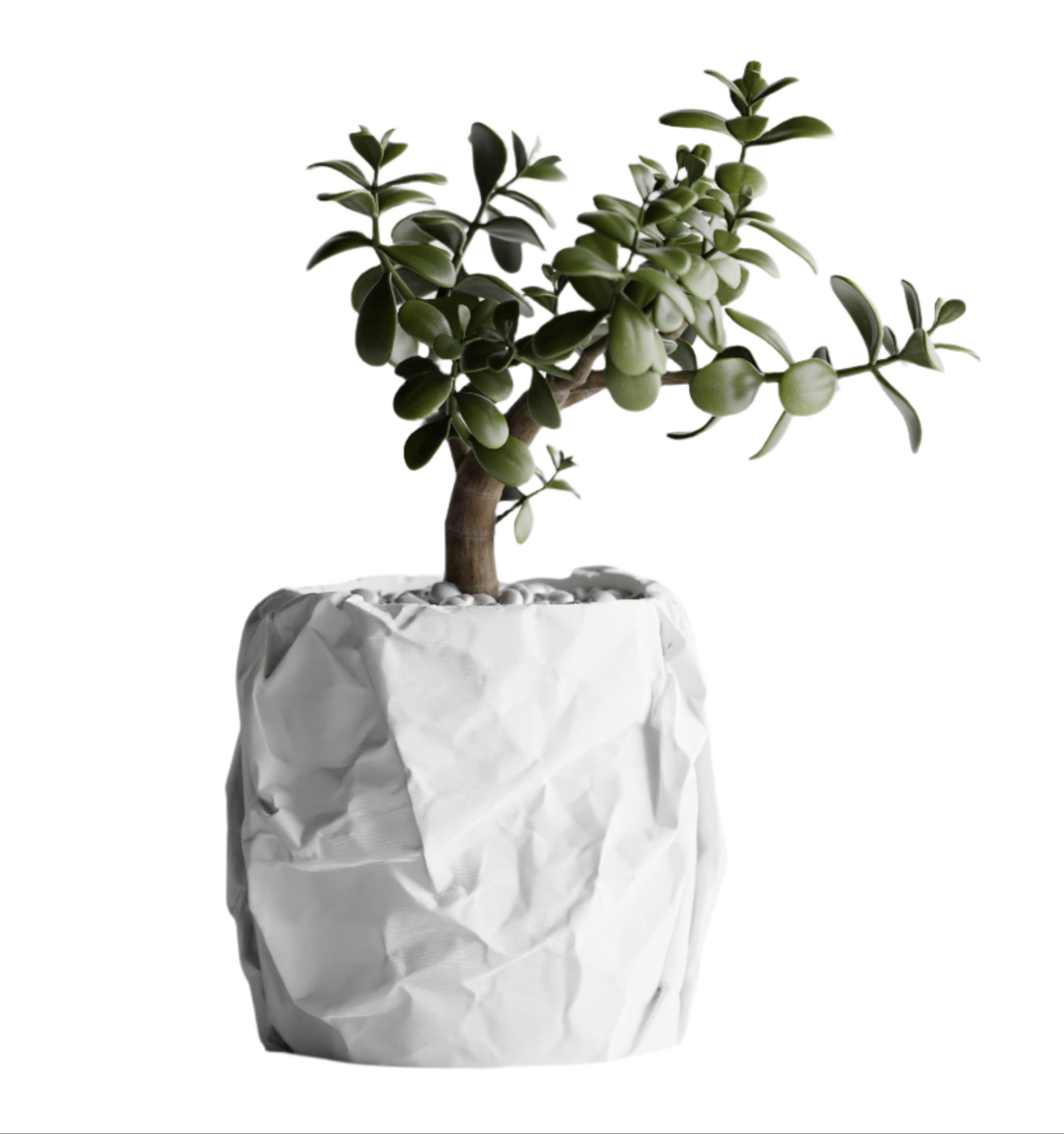 Crumpled – Crushed Texture Decorative Plant Pot