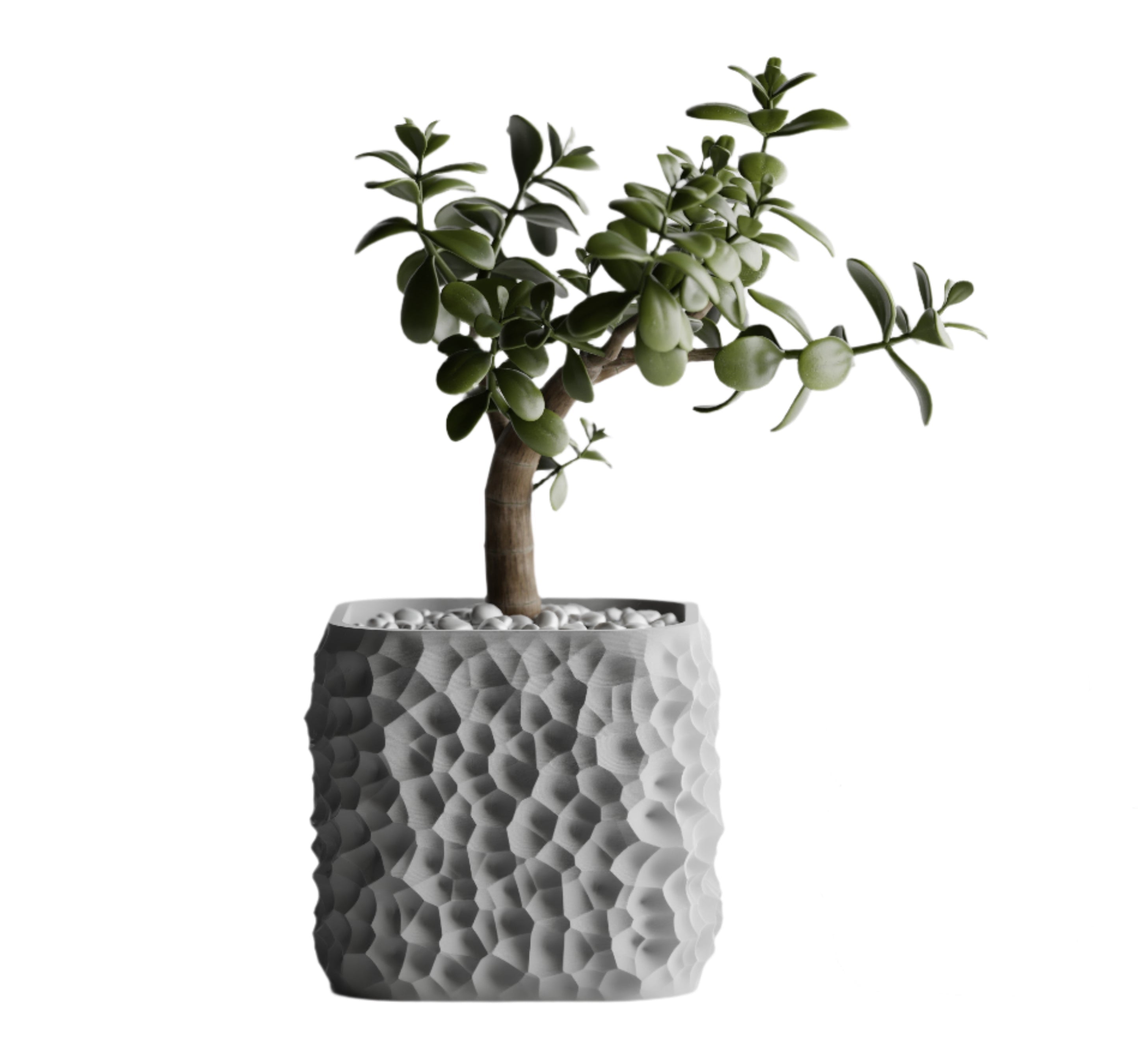 TerraForm Vase – Organic Voronoi Planter
