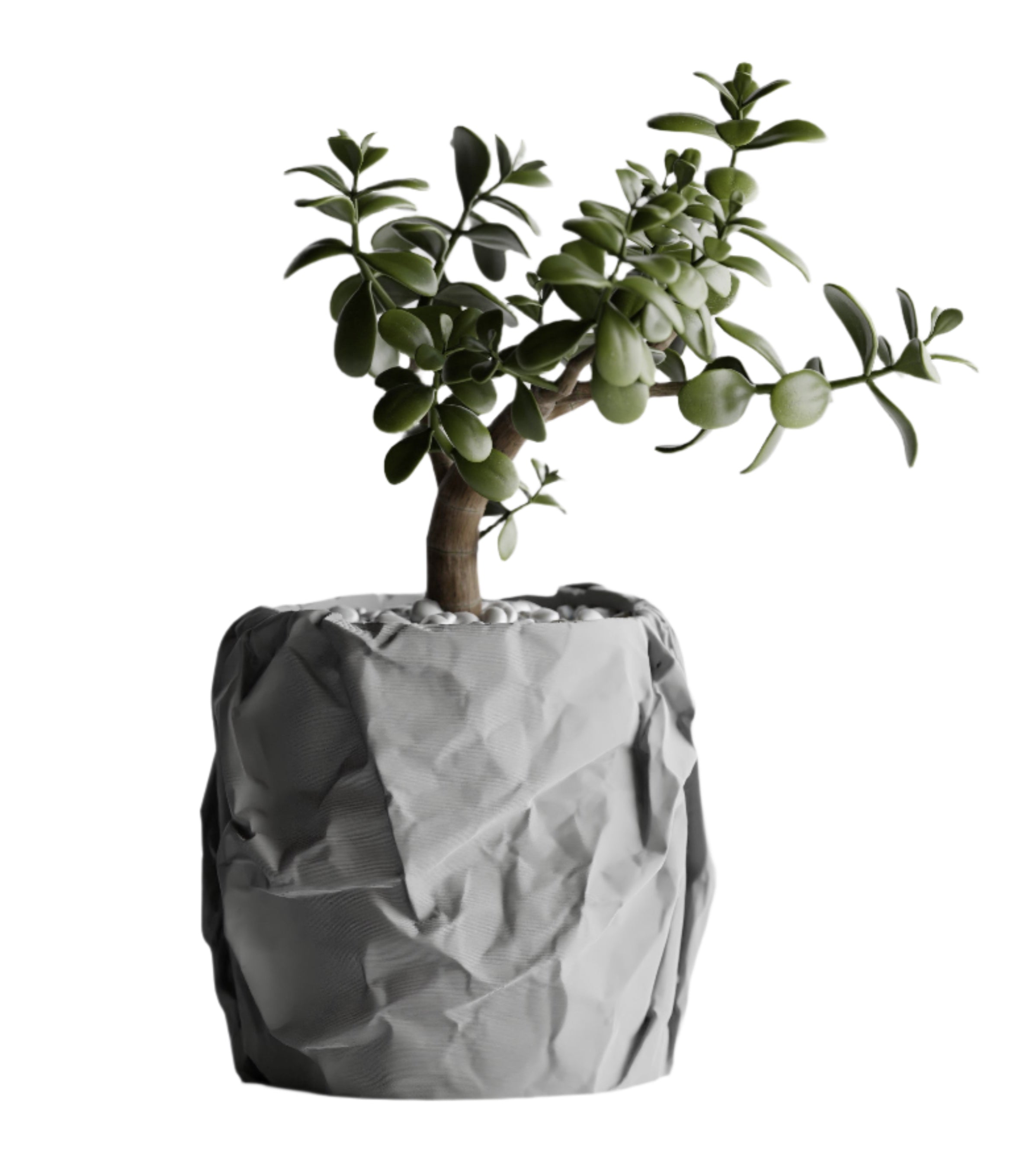 Crumpled – Crushed Texture Decorative Plant Pot