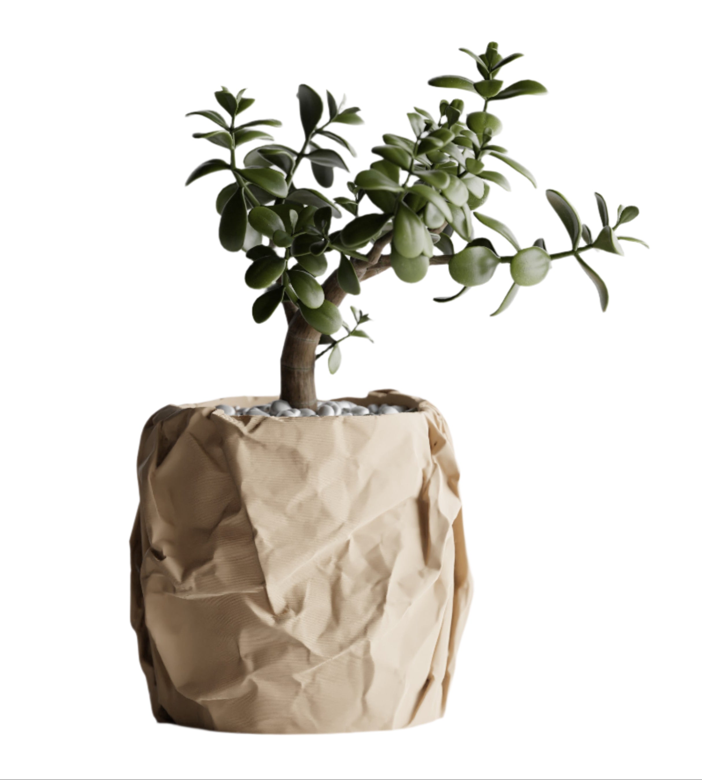 Crumpled – Crushed Texture Decorative Plant Pot
