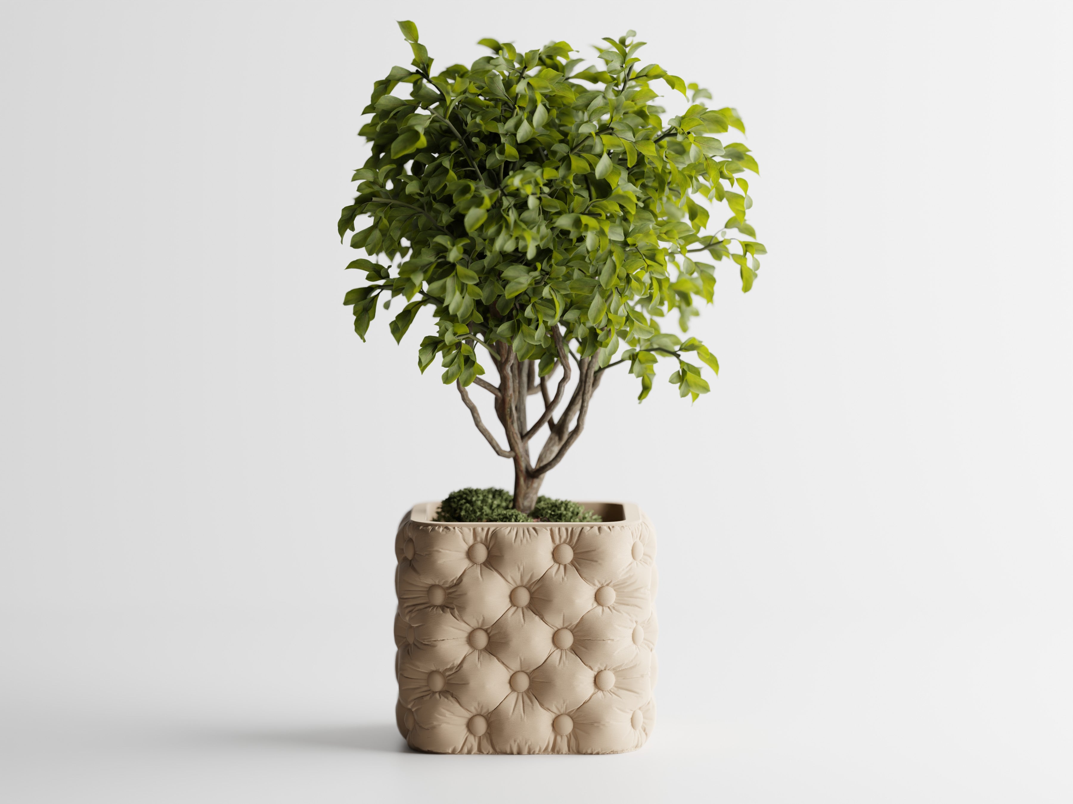 Chesterra – Tufted Sculptural Planter