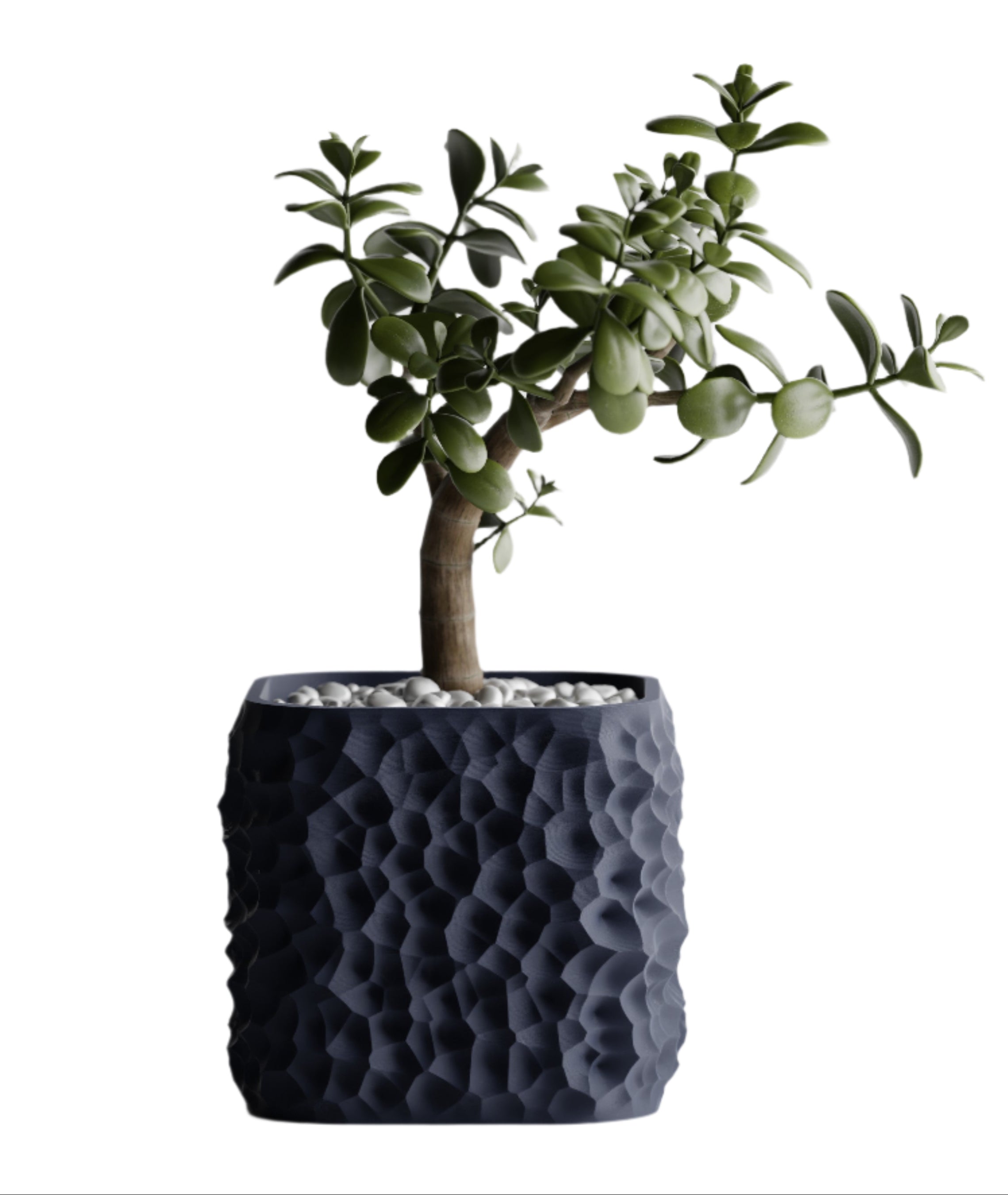 TerraForm Vase – Organic Voronoi Planter