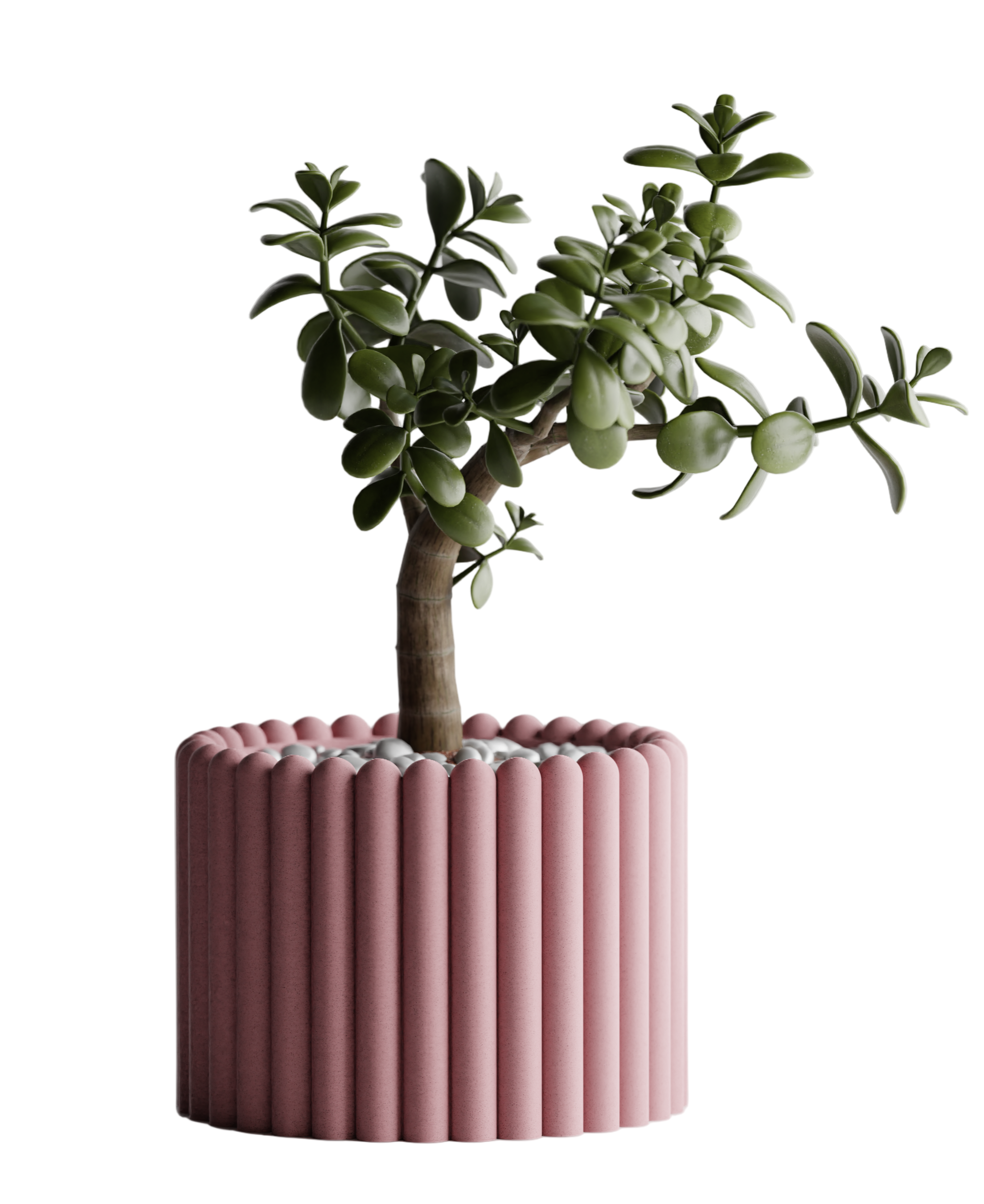 Ribera – Sculptural Ribbed Planter