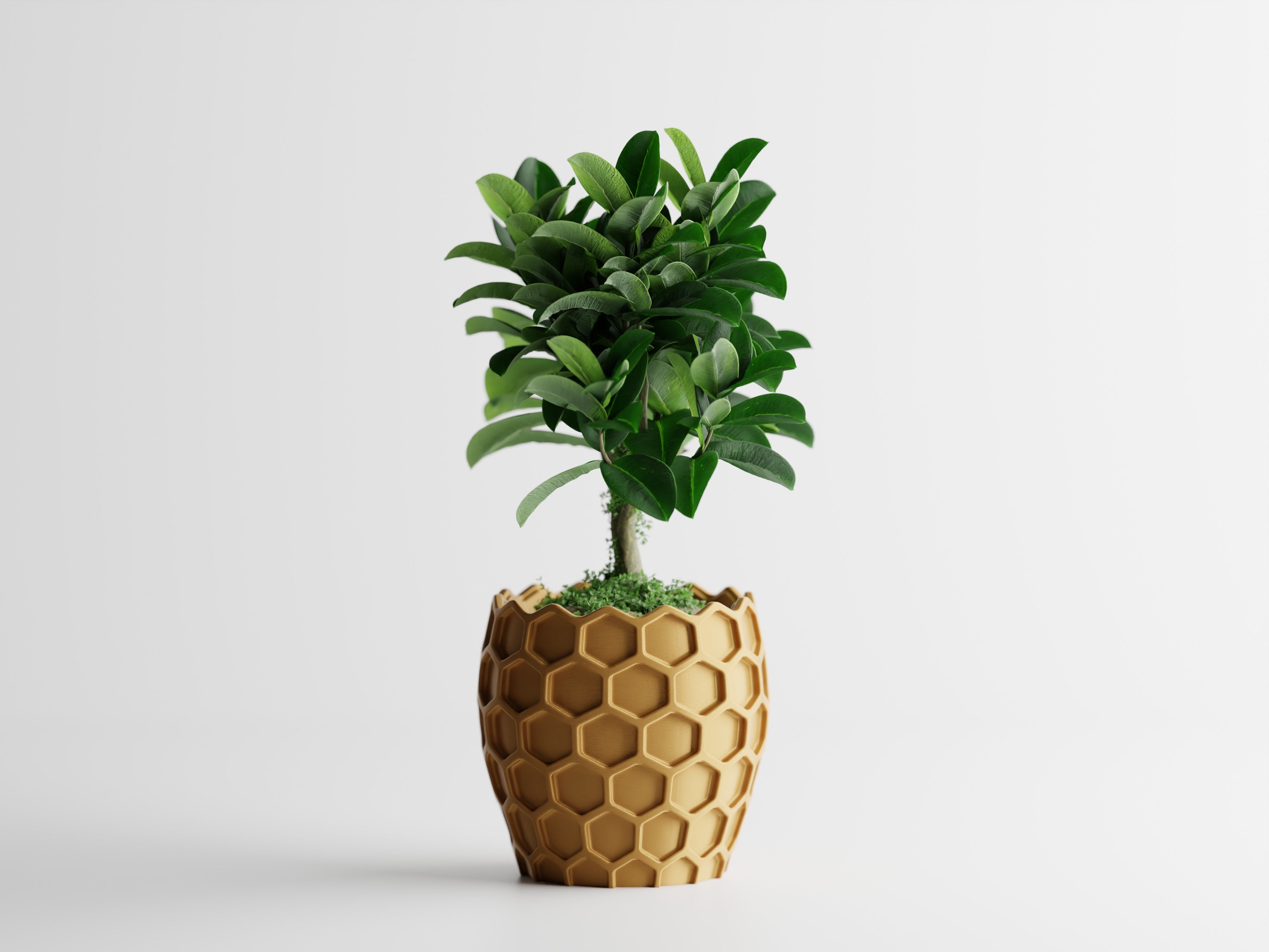 Beehavia honeycomb sculptural planter with hexagonal relief and geometric silhouette, modern indoor decor