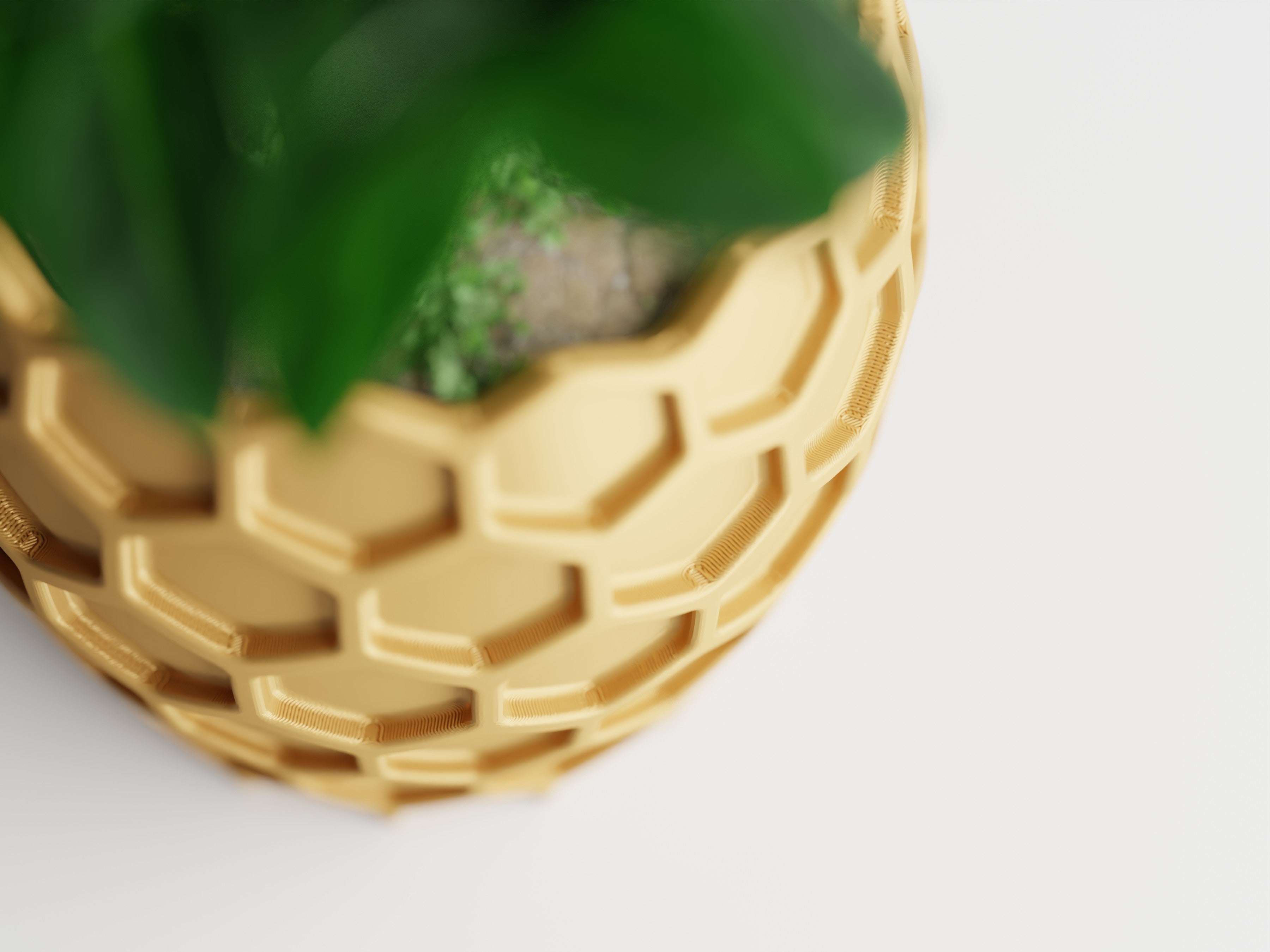 Beehavia honeycomb sculptural planter with hexagonal relief and geometric silhouette, modern indoor decor