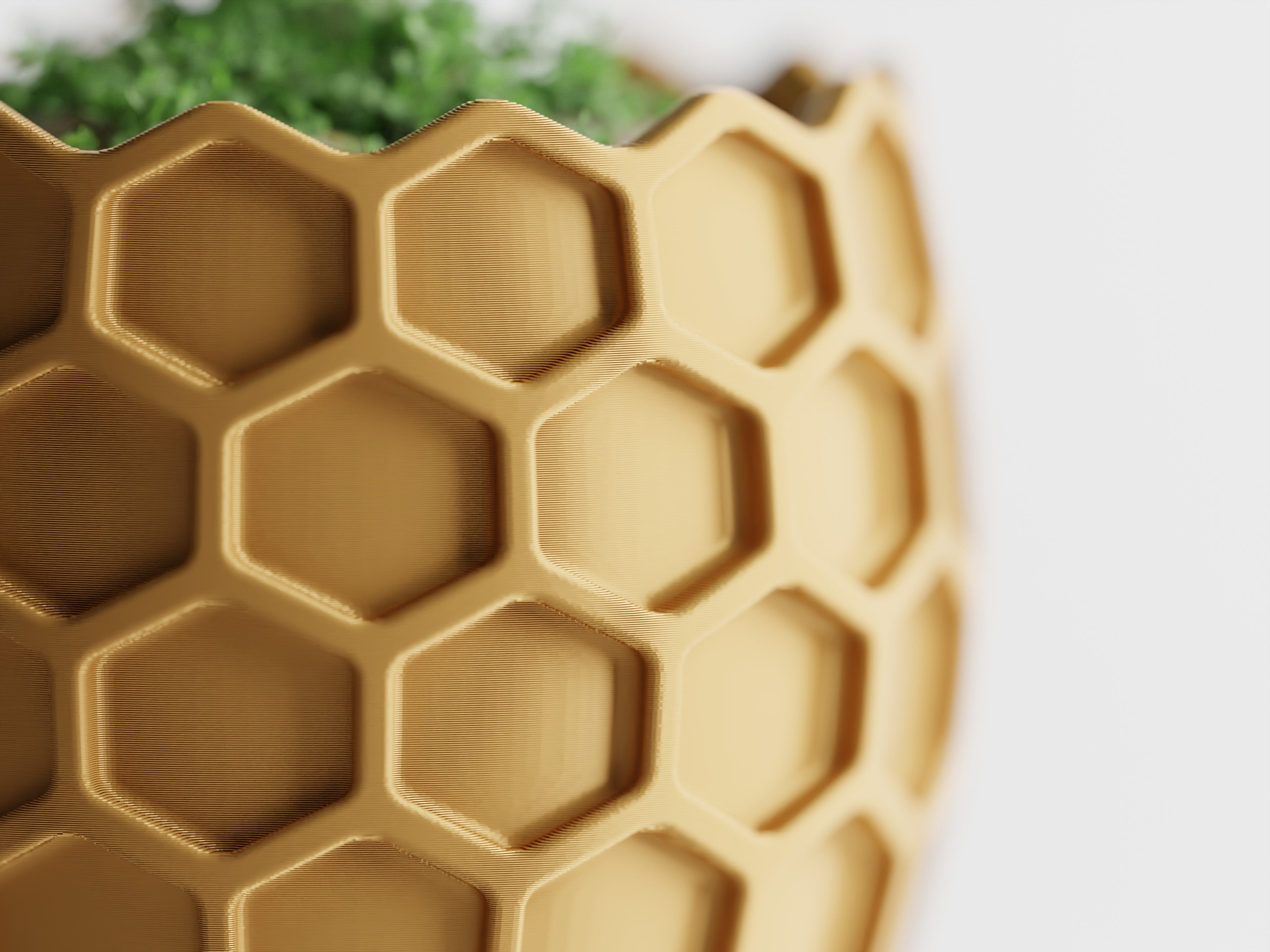 Beehavia honeycomb sculptural planter with hexagonal relief and geometric silhouette, modern indoor decor