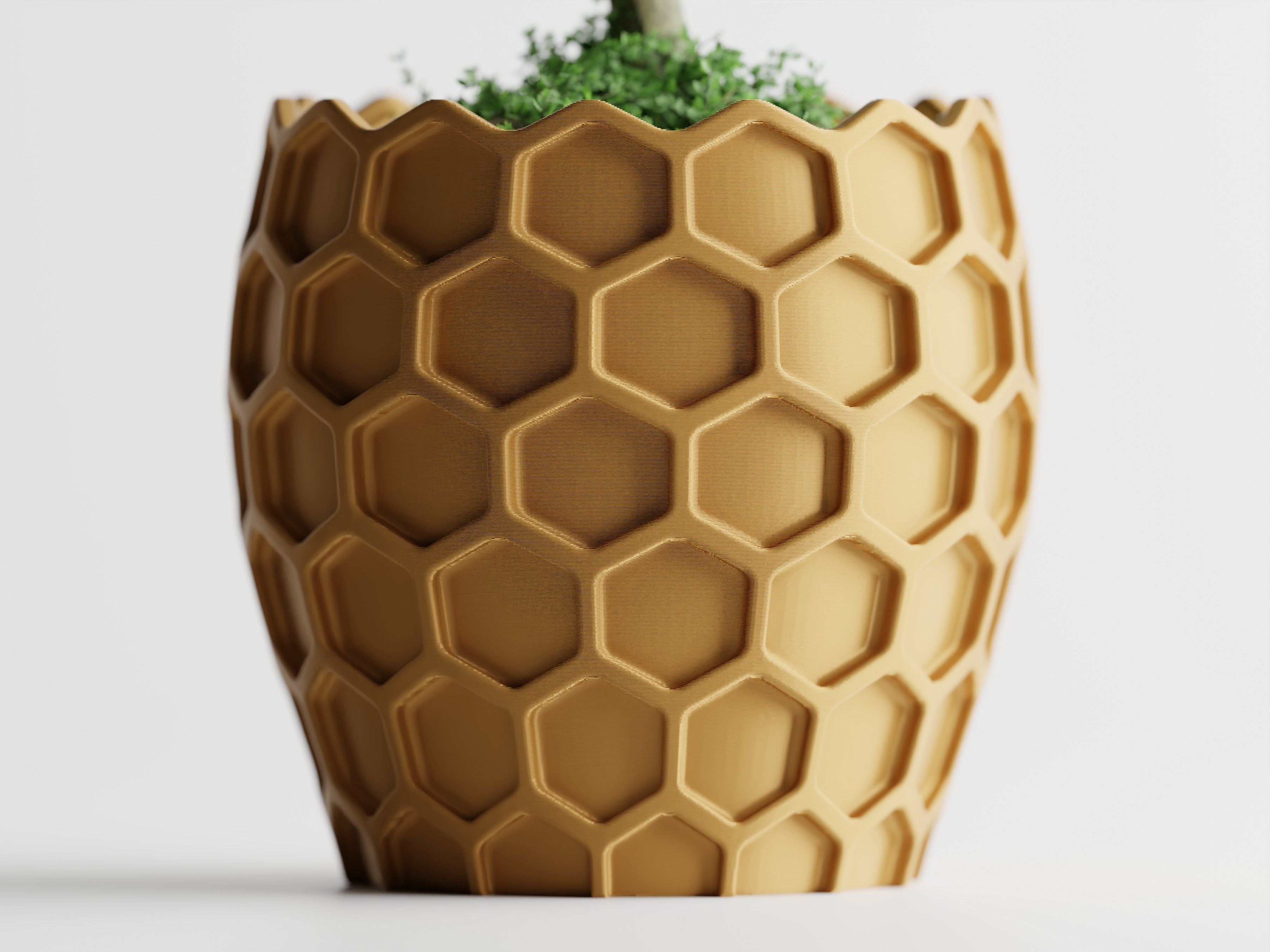Beehavia honeycomb sculptural planter with hexagonal relief and geometric silhouette, modern indoor decor
