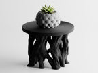 Arboris Root Pedestal Plant Stand – Organic Root Base with Interchangeable Tops | Small & Large | Made in Texas