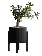 Plant Pot Elevare – Mid-Century Stand & Interchangeable Pot Set