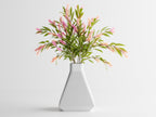 Vertura – Minimalist Plant Vase
