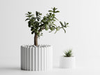 Ribera – Sculptural Ribbed Planter