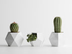 GeoTrio – Set of 3 Geometric Decorative Plant Pots