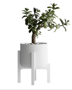 Plant Pot Elevare – Mid-Century Stand & Interchangeable Pot Set