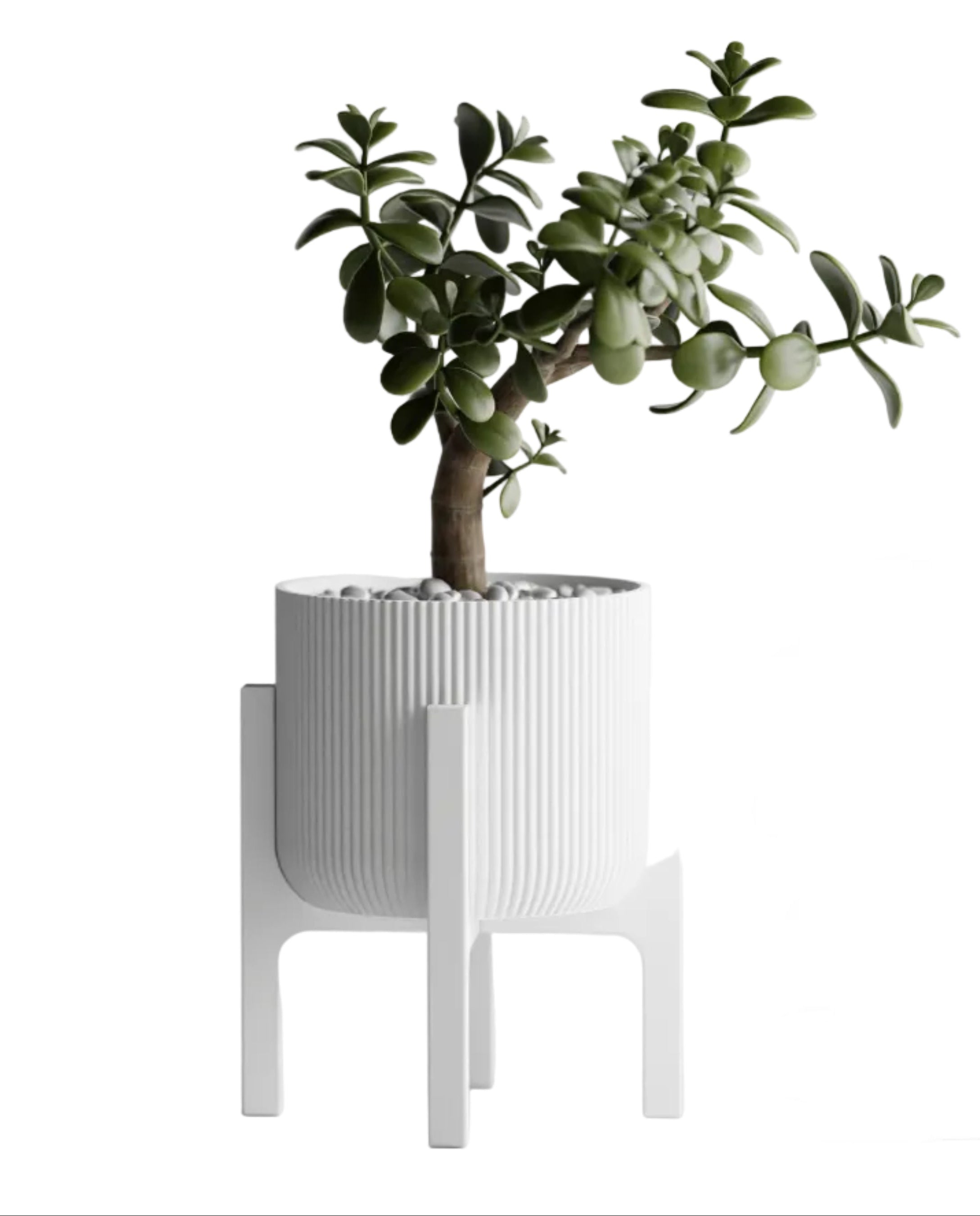 Plant Pot Elevare – Mid-Century Stand & Interchangeable Pot Set