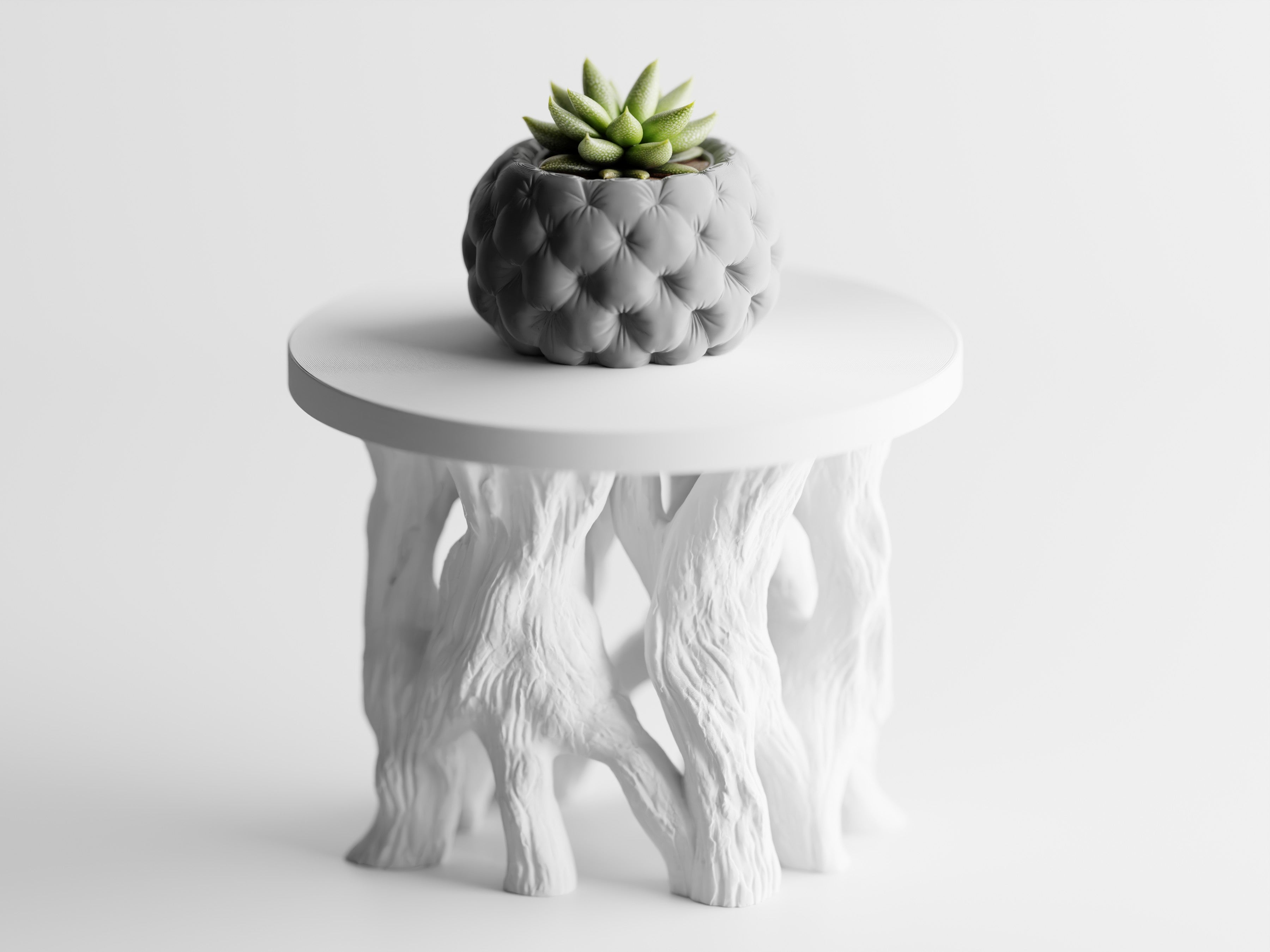 Arboris Root Pedestal Plant Stand – Organic Root Base with Interchangeable Tops | Small & Large | Made in Texas