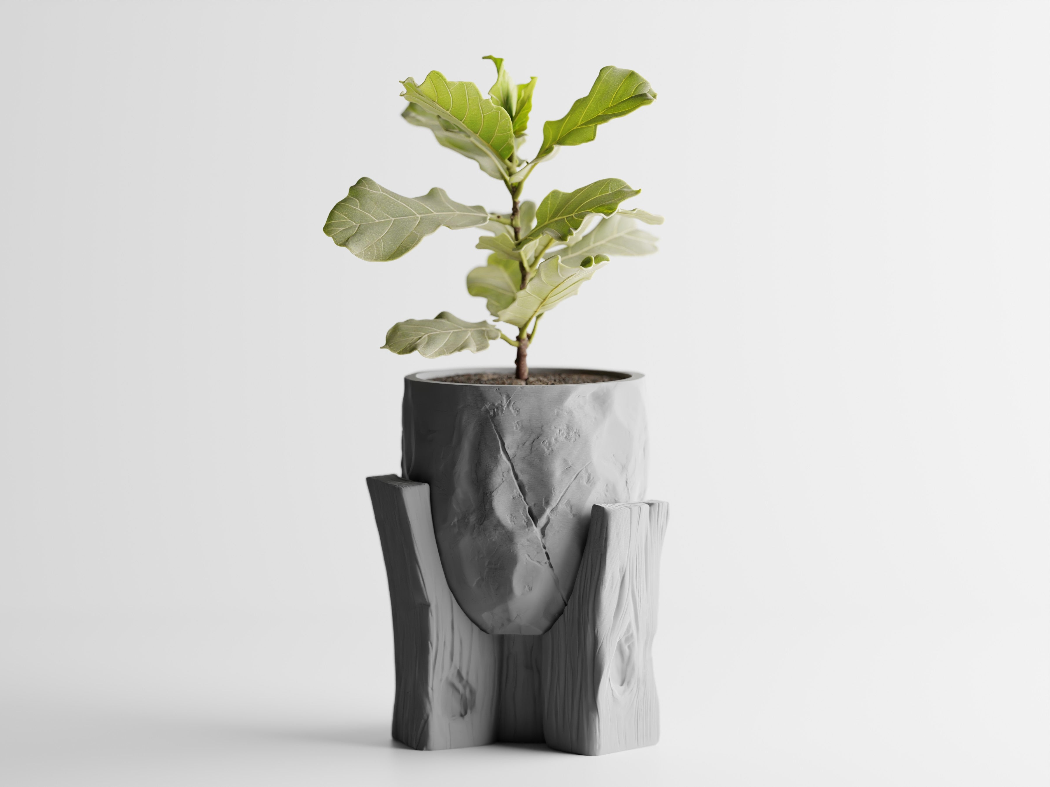 Concrete Texture Indoor Planter with Wood Grain Stand, 3D Printed Indoor Plant Pot, Succulent Pot, Modern Home Decor, Plant Lover Gift