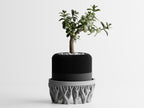 Unity Stand – Artistic Bowl and Planter Stand
