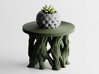 Arboris Root Pedestal Plant Stand – Organic Root Base with Interchangeable Tops | Small & Large | Made in Texas
