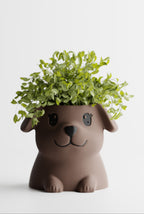 PuppyPot – Cute Puppy Shaped Indoor Planter for Succulents & Small Plants
