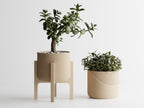 Plant Pot Elevare – Mid-Century Stand & Interchangeable Pot Set