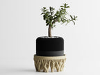 Unity Stand – Artistic Bowl and Planter Stand
