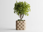 Chesterra – Tufted Sculptural Planter