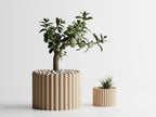 Ribera – Sculptural Ribbed Planter