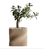 Twistora – Modern Plant Pot