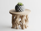 Arboris Root Pedestal Plant Stand – Organic Root Base with Interchangeable Tops | Small & Large | Made in Texas