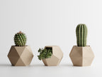 GeoTrio – Set of 3 Geometric Decorative Plant Pots