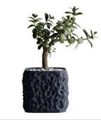 TerraForm Vase – Organic Voronoi Planter