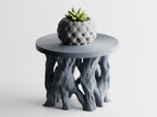 Arboris Root Pedestal Plant Stand – Organic Root Base with Interchangeable Tops | Small & Large | Made in Texas