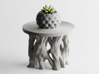 Arboris Root Pedestal Plant Stand – Organic Root Base with Interchangeable Tops | Small & Large | Made in Texas