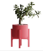 Plant Pot Elevare – Mid-Century Stand & Interchangeable Pot Set
