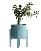 Plant Pot Elevare – Mid-Century Stand & Interchangeable Pot Set