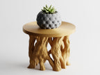 Arboris Root Pedestal Plant Stand – Organic Root Base with Interchangeable Tops | Small & Large | Made in Texas