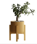 Plant Pot Elevare – Mid-Century Stand & Interchangeable Pot Set