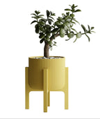 Plant Pot Elevare – Mid-Century Stand & Interchangeable Pot Set