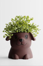 PuppyPot – Cute Puppy Shaped Indoor Planter for Succulents & Small Plants