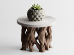 Arboris Root Pedestal Plant Stand – Organic Root Base with Interchangeable Tops | Small & Large | Made in Texas