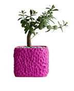 TerraForm Vase – Organic Voronoi Planter