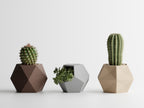 GeoTrio – Set of 3 Geometric Decorative Plant Pots