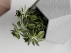 GeoTrio – Set of 3 Geometric Decorative Plant Pots