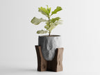 Concrete Texture Indoor Planter with Wood Grain Stand, 3D Printed Indoor Plant Pot, Succulent Pot, Modern Home Decor, Plant Lover Gift
