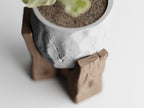 Concrete Texture Indoor Planter with Wood Grain Stand, 3D Printed Indoor Plant Pot, Succulent Pot, Modern Home Decor, Plant Lover Gift